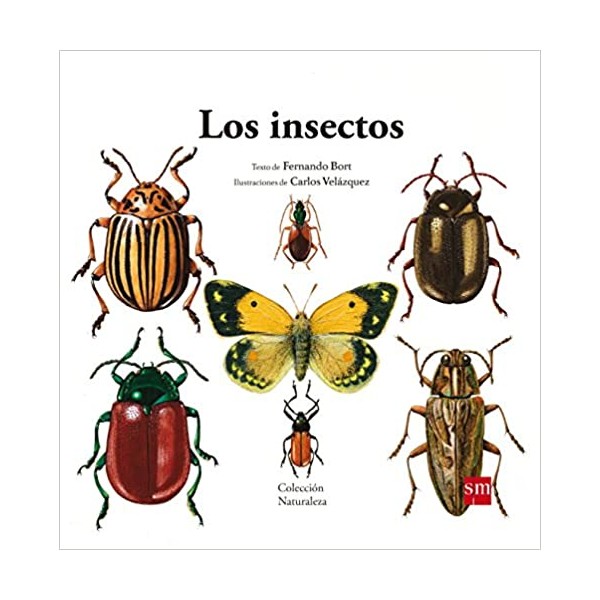 NAT.5 LOS INSECTOS