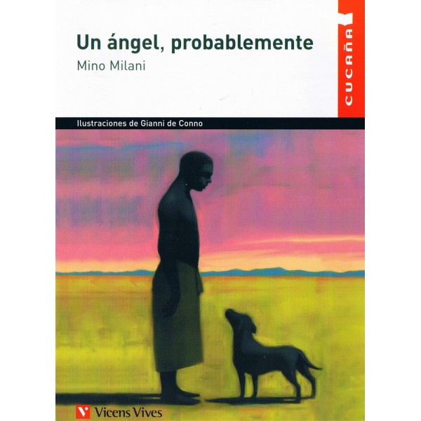 Un Angel Probablemente N/c Auxiliar educación primaria