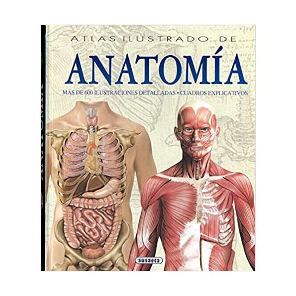 Anatomía