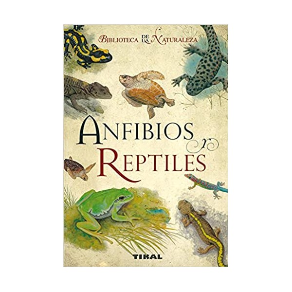 Anfibios y reptiles