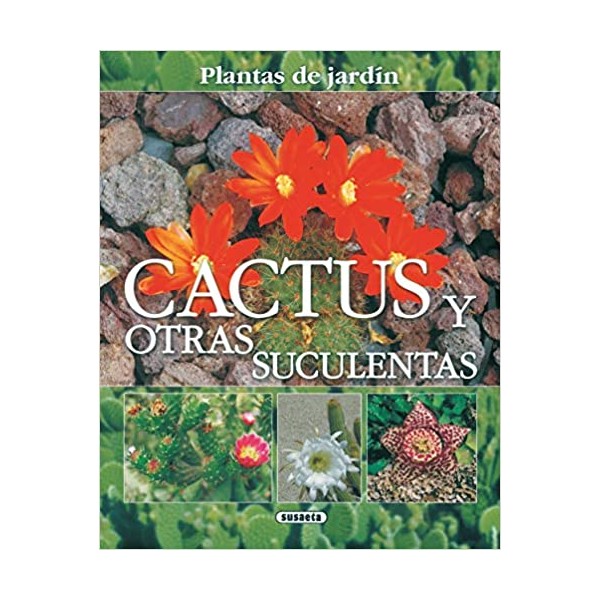 Cactus y otras suculentas