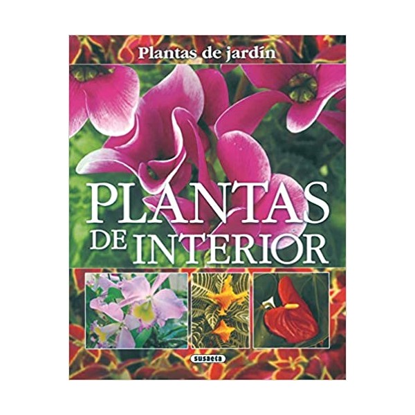 Plantas de interior