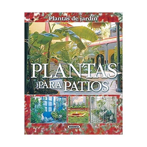 Plantas para patios