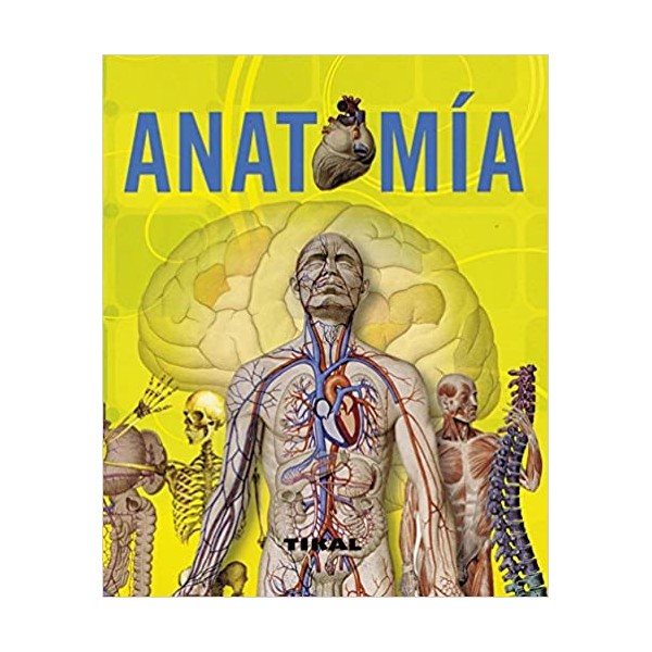 Anatomía