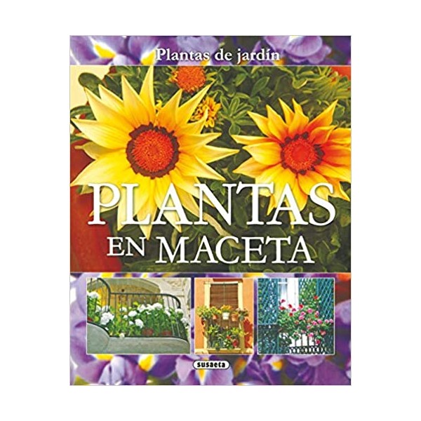 Plantas en maceta