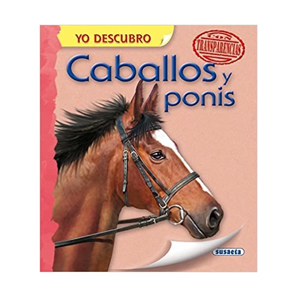 Caballos y ponis