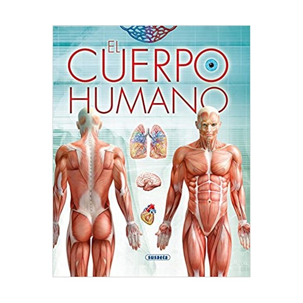 El cuerpo humano