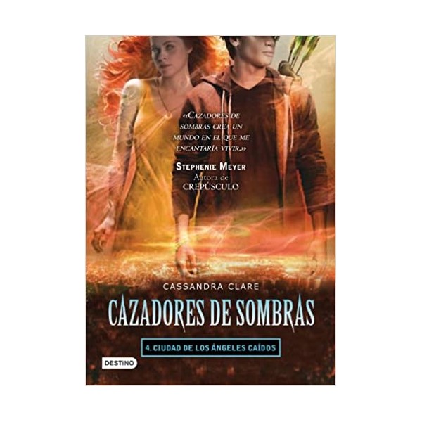 Ciudad de los ángeles caídos. Cazadores de sombras 4