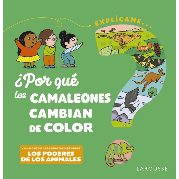 ¿Por qué los camaleones cambian de color?