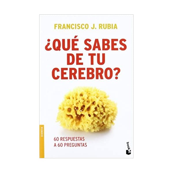 ¿Qué sabes de tu cerebro?