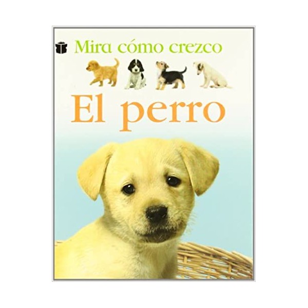 El perro