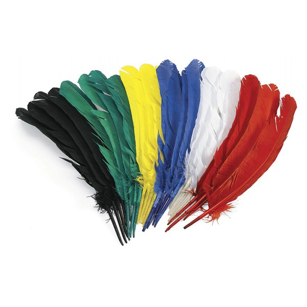 Set de 24 plumas de Indio de 30 cm.